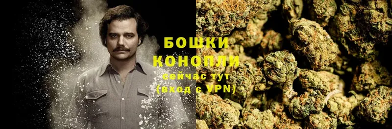 Марихуана THC 21%  блэк спрут маркетплейс  Реутов  цены  